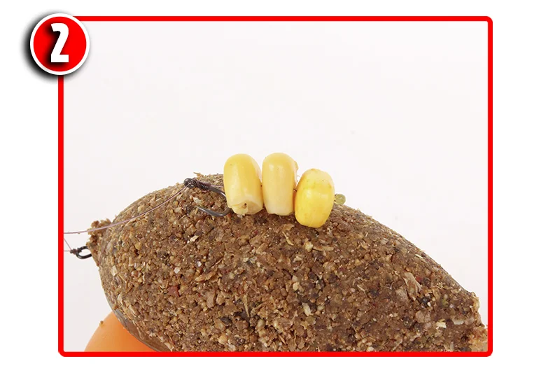 Six steps to the perfect hair rig — Angling Times