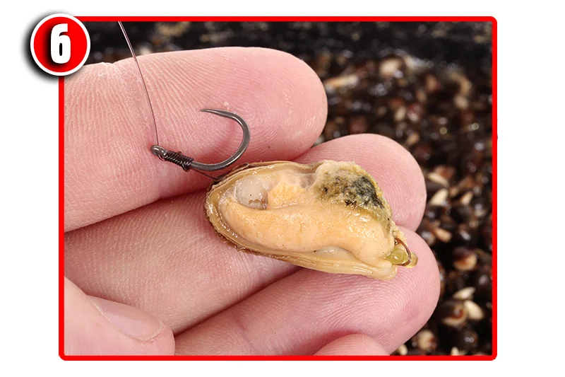 Six steps to the perfect hair rig — Angling Times