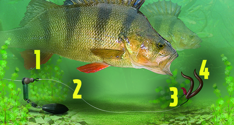 How to tie  The bomb and worm rig — Angling Times
