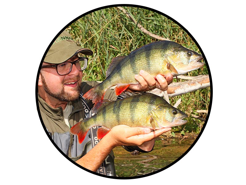 NEW 8 x Ready Made Whip POLE RIGS Hook Size 14 16 18 20 Roach Perch Canal Lake