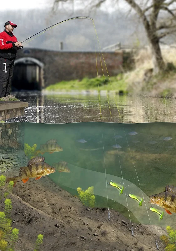 Drop shotting for beginners — Angling Times