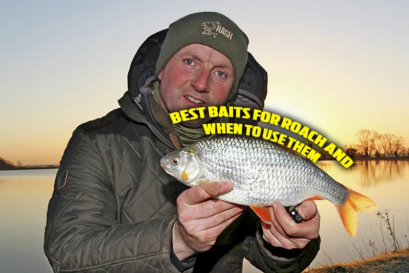 Guide to Roach Fishing — Angling Times