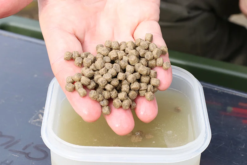 2. roach pellets 2. - softened expanders will catch a wide variety of different fishjpg.jpg