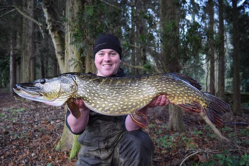 Pike landscape.jpg