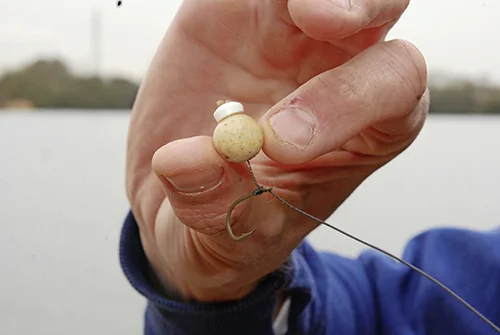 Tip 5 light hookbait.jpg