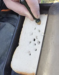 PUNCHING BREAD.jpg