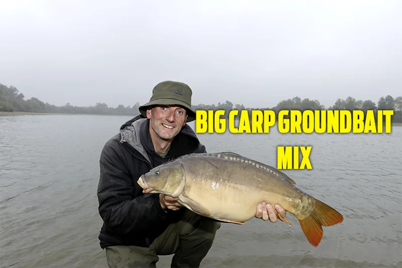 best groundbait for carp