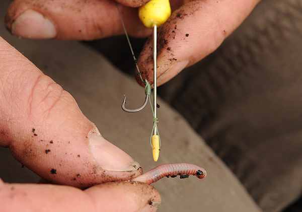 Dai Gribble's Worm kebab for Tench — Angling Times