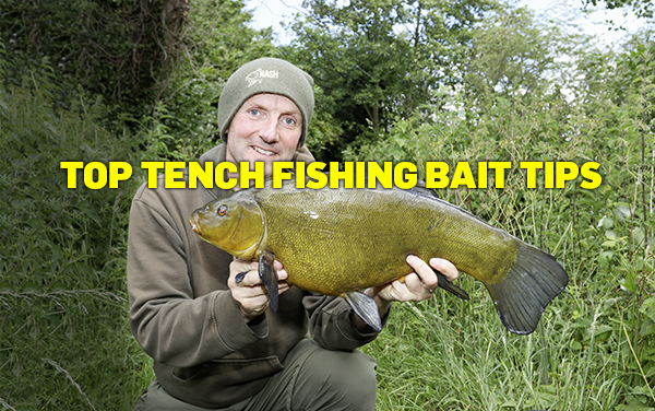 Best Tench fishing baits and methods for right now! — Angling Times
