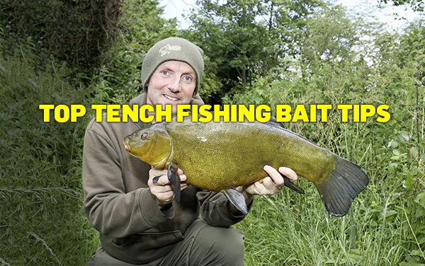 best bait for tench
