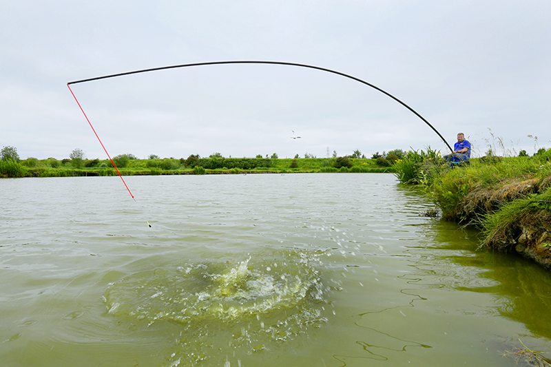 Browning Black Magic Carp 11M pole review — Angling Times