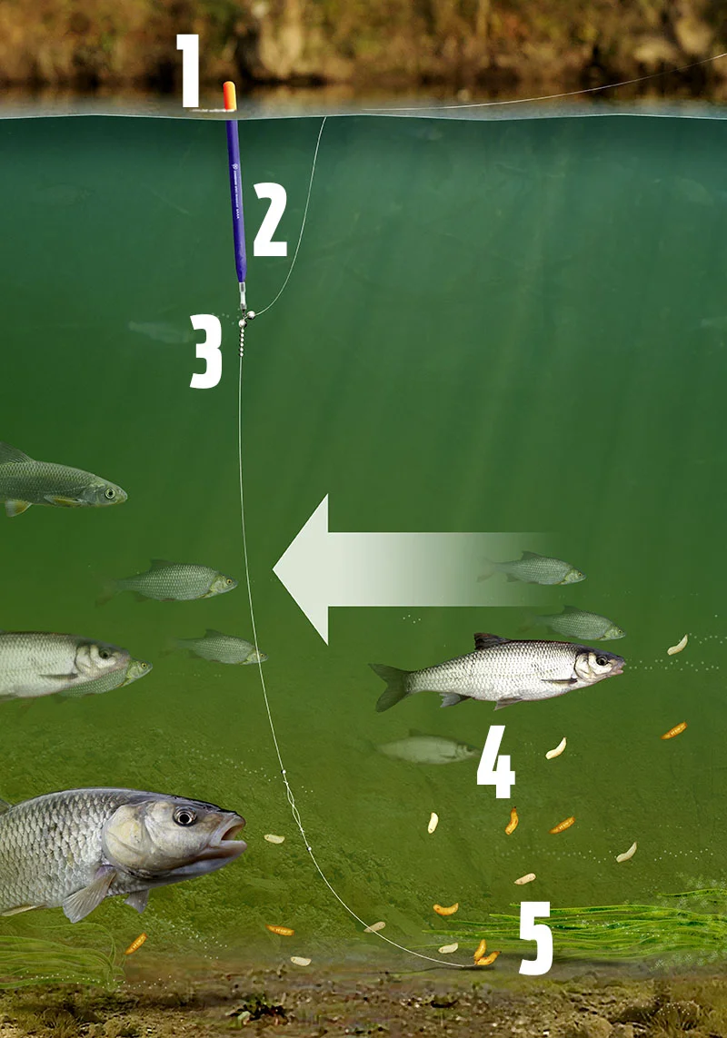 Guide to chub fishing — Angling Times