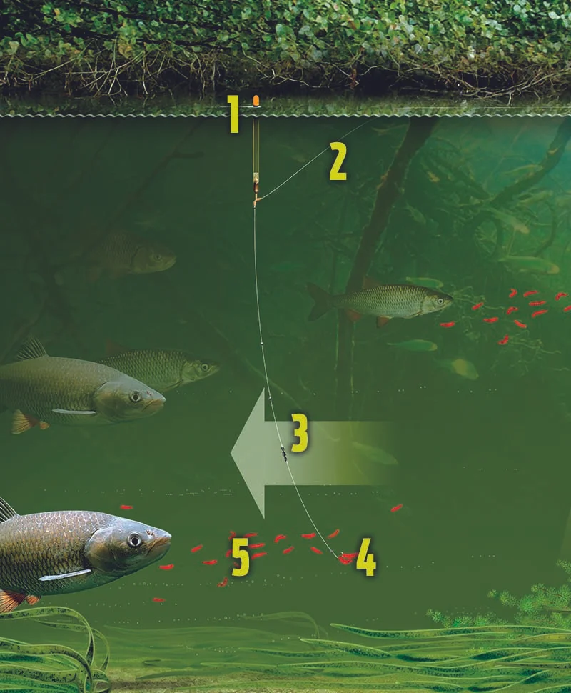 Chub crystal waggler & maggot off bottom rig.jpg