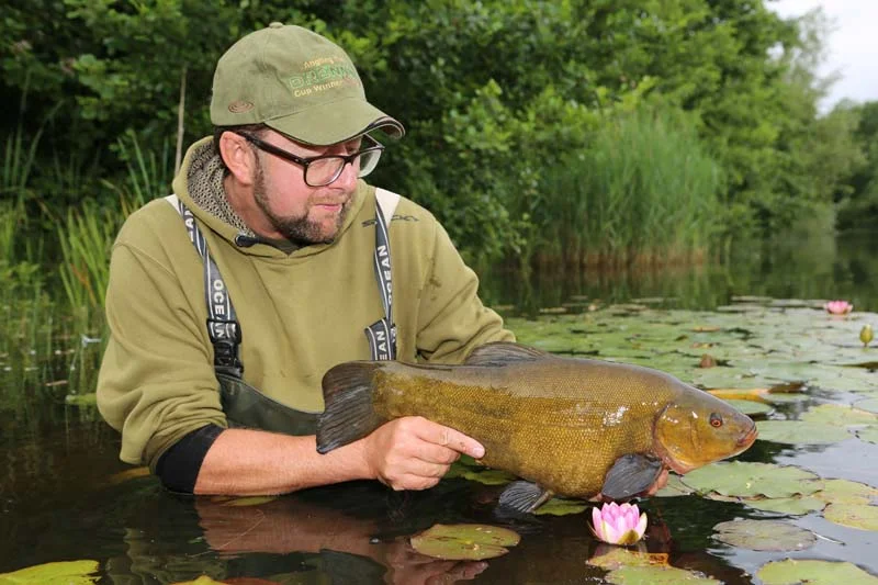 Try the pole for specimen tench! — Angling Times