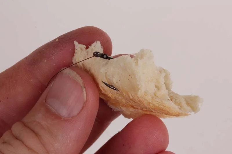 CRUST.jpg
