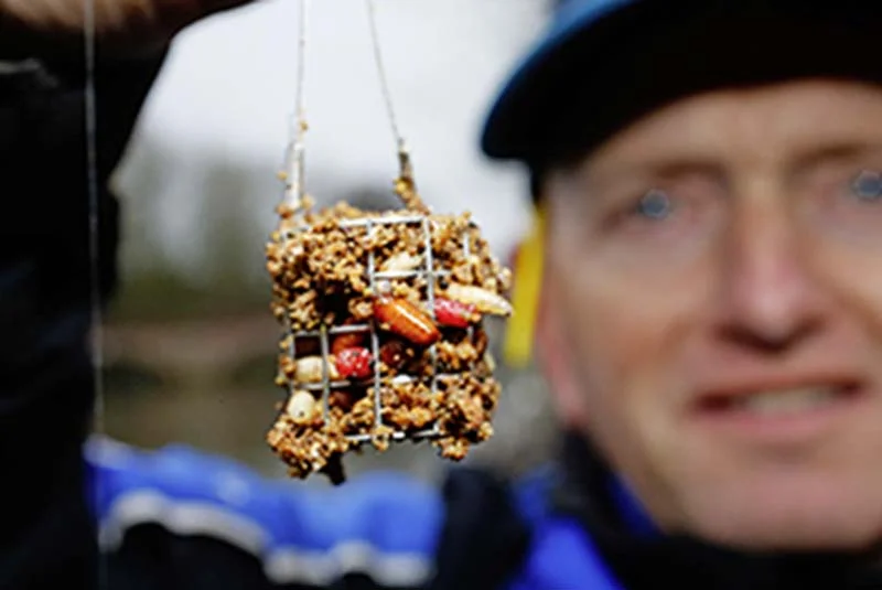 Loaded feeder.jpg
