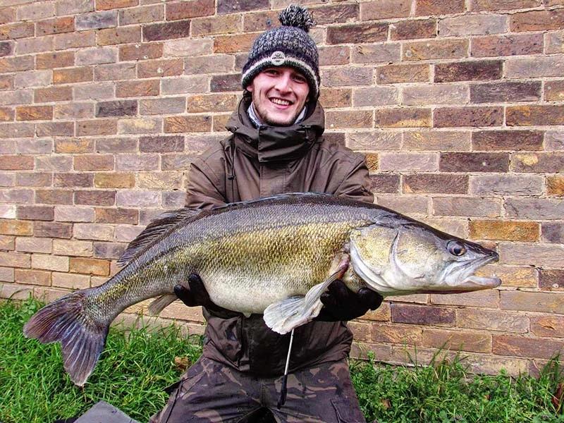Harry Langley 17lb 4oz zander.jpg