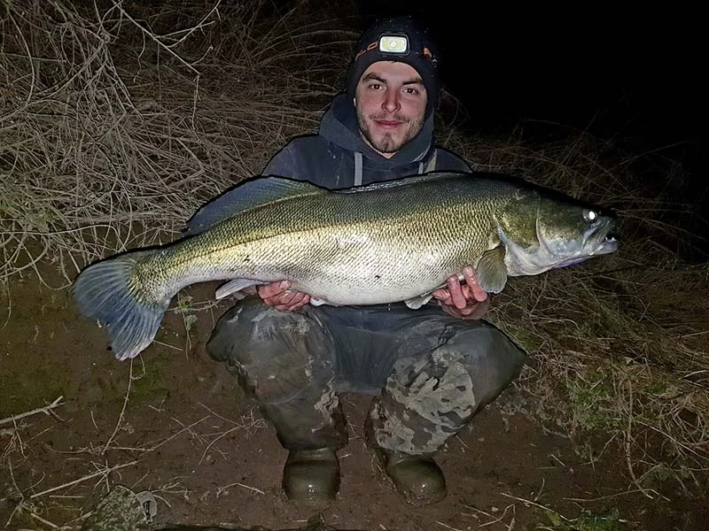 James Benfield 16lb 8oz zander.jpg