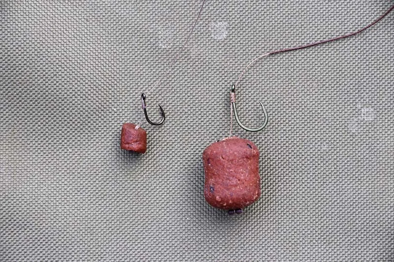 4 Smaller baits for barbel in the day.jpg