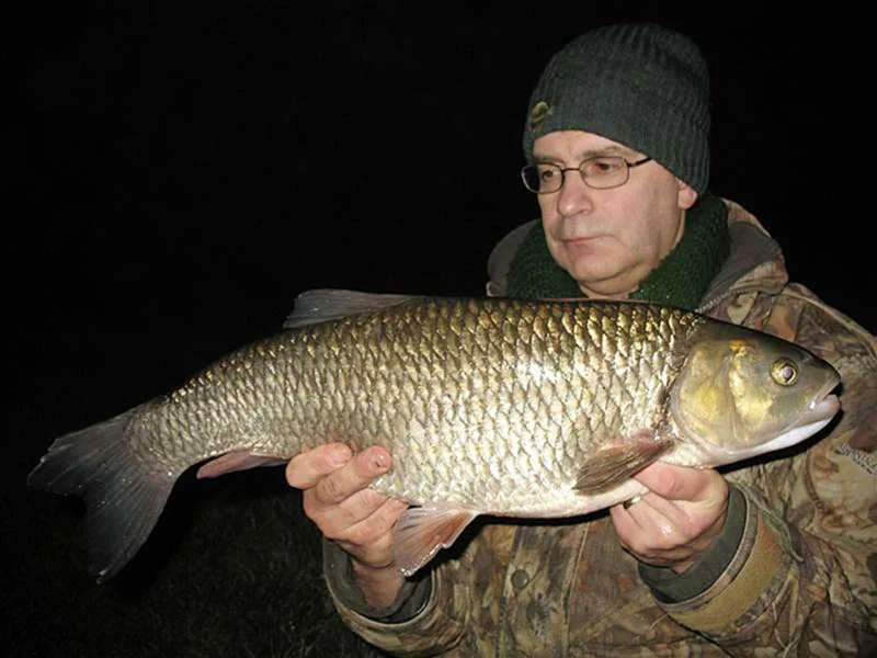 Paul Allen 8lb 1oz chub.jpg