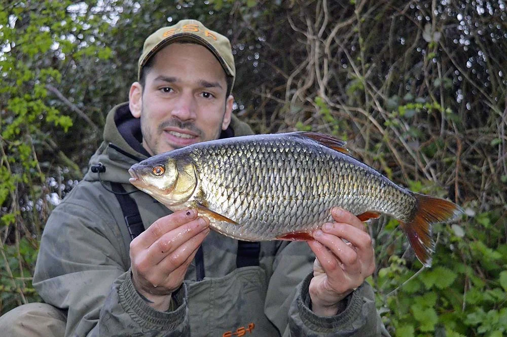 Daniel Woolcott 3lb 4oz roach.jpg