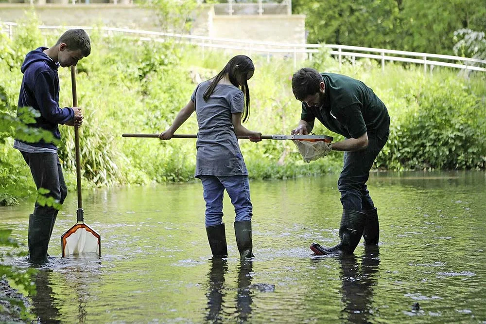 river dippingBIG.jpg