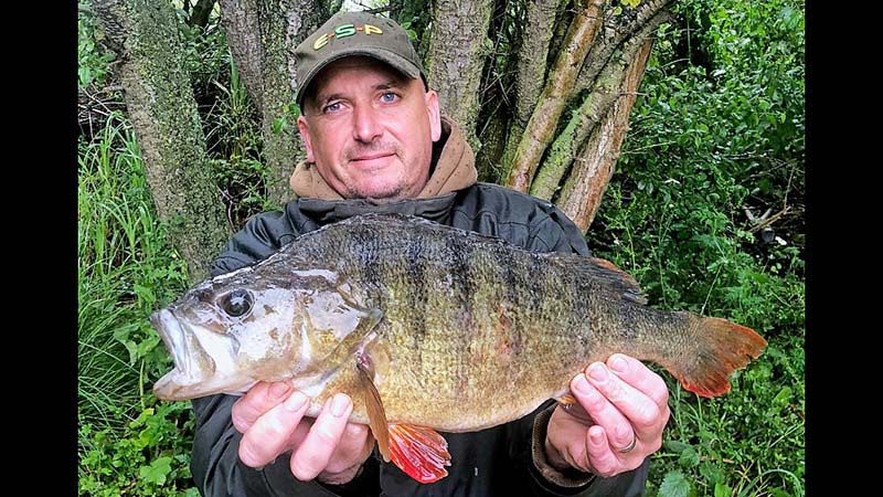 Lee Snow 4lb 3oz perch.jpg