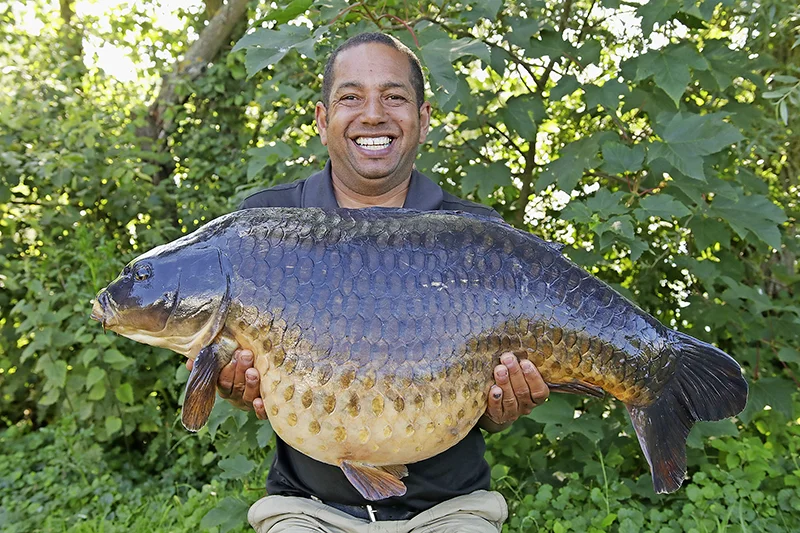 49lb Common (main image).jpg