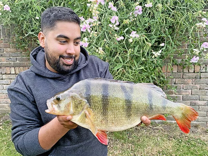 Kiran Nathan 5lb 1oz perch.jpg