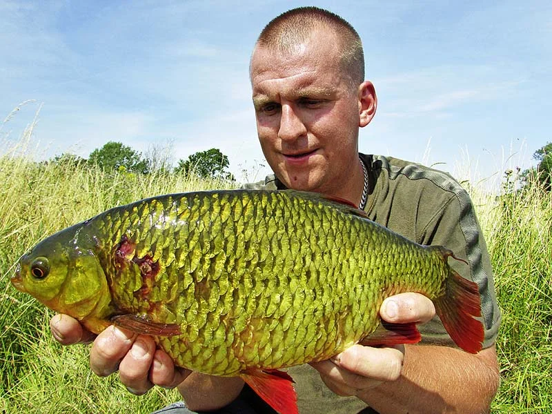 Joe Royffe 3lb 7oz rudd_1.jpg