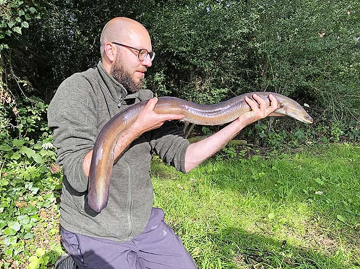 Chris Mason 5lb 15oz eel.jpg