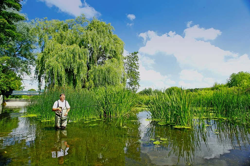 River Lark.jpg