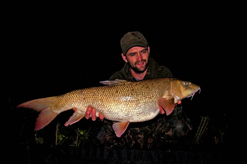 5lb barbel.jpg