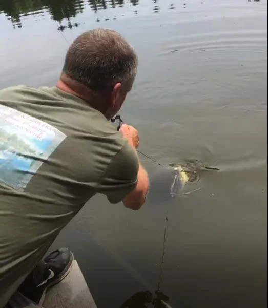 The catfish shook the hook shortly after.jpg