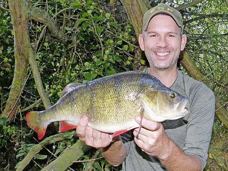 Adam Perna 4lb perch.jpg