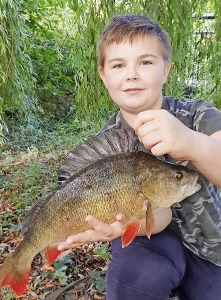 George Killan 4lb 1oz perch.jpg