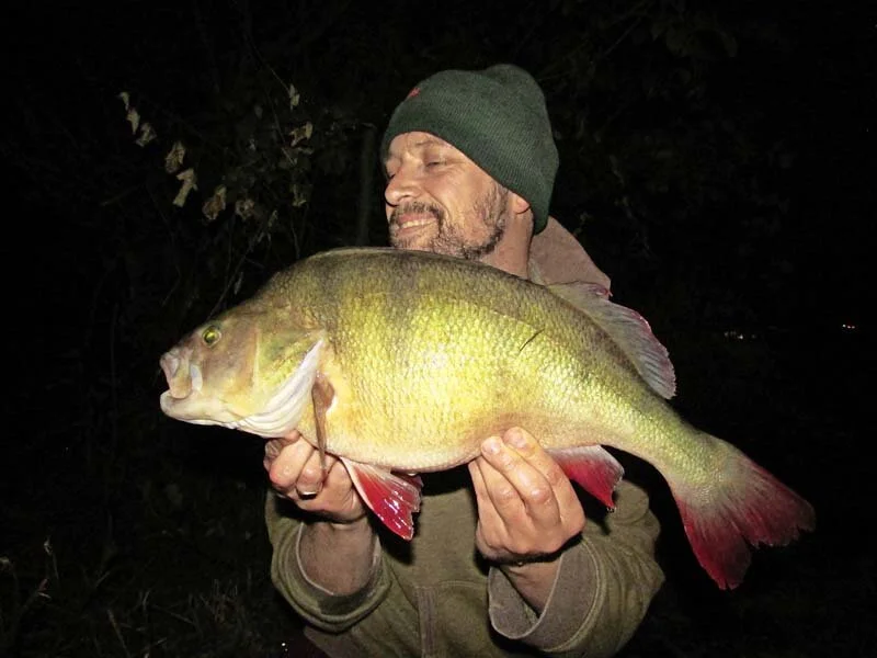 James Matthews 4lb 10oz 8dr perch.jpg