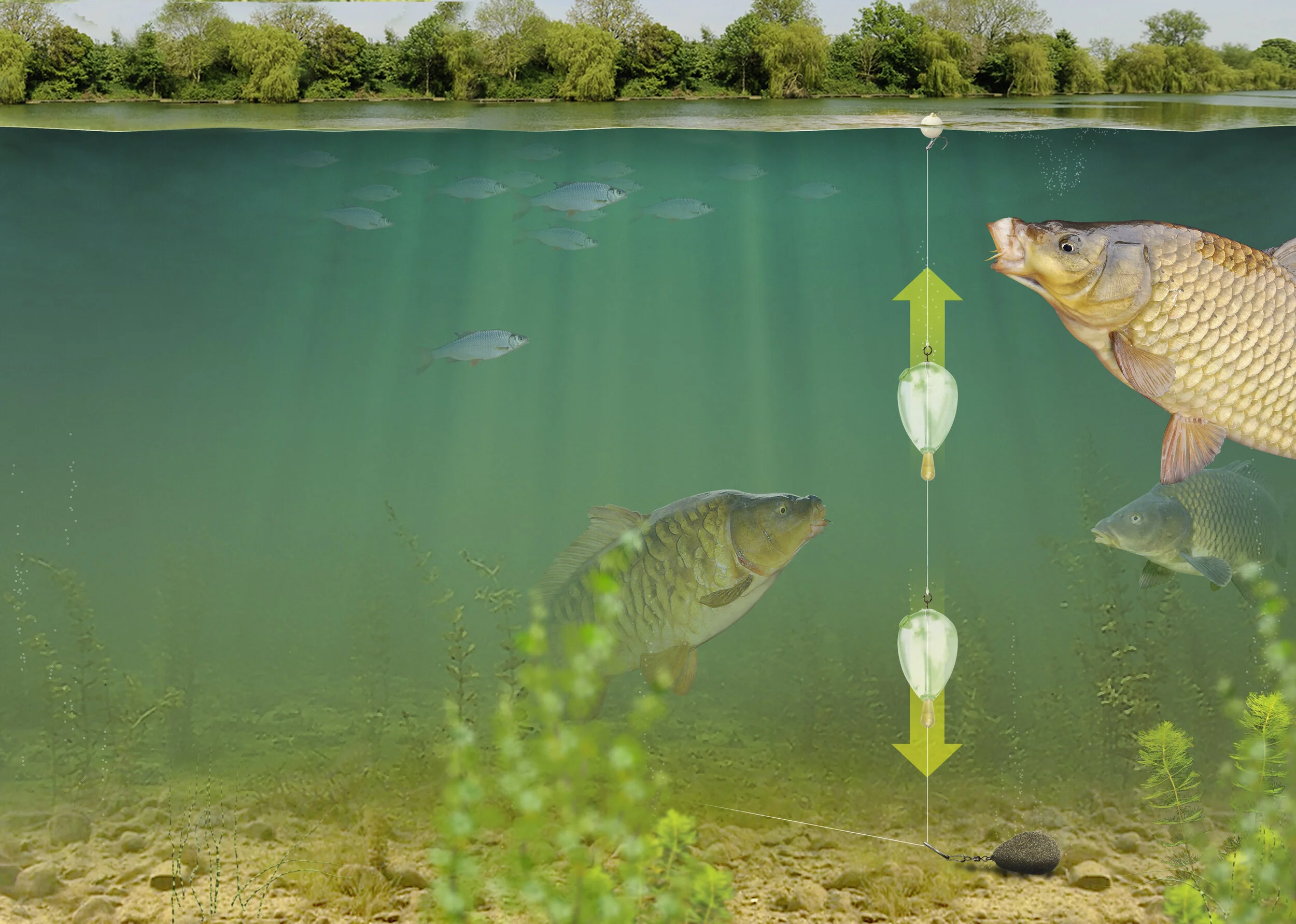 Carp Fishing Tips Is there an optimum depth carp are most comfortable