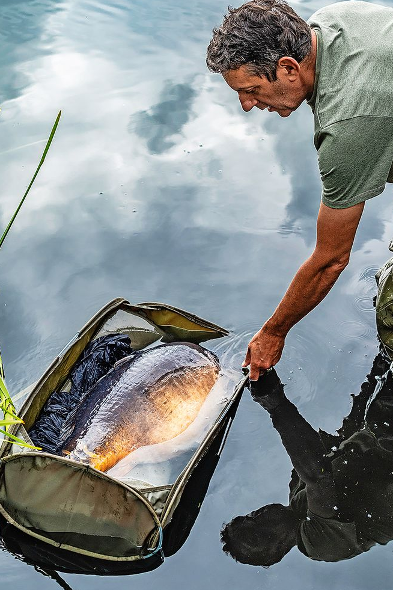 Anglers urged to protect fish in warm weather — Angling Times