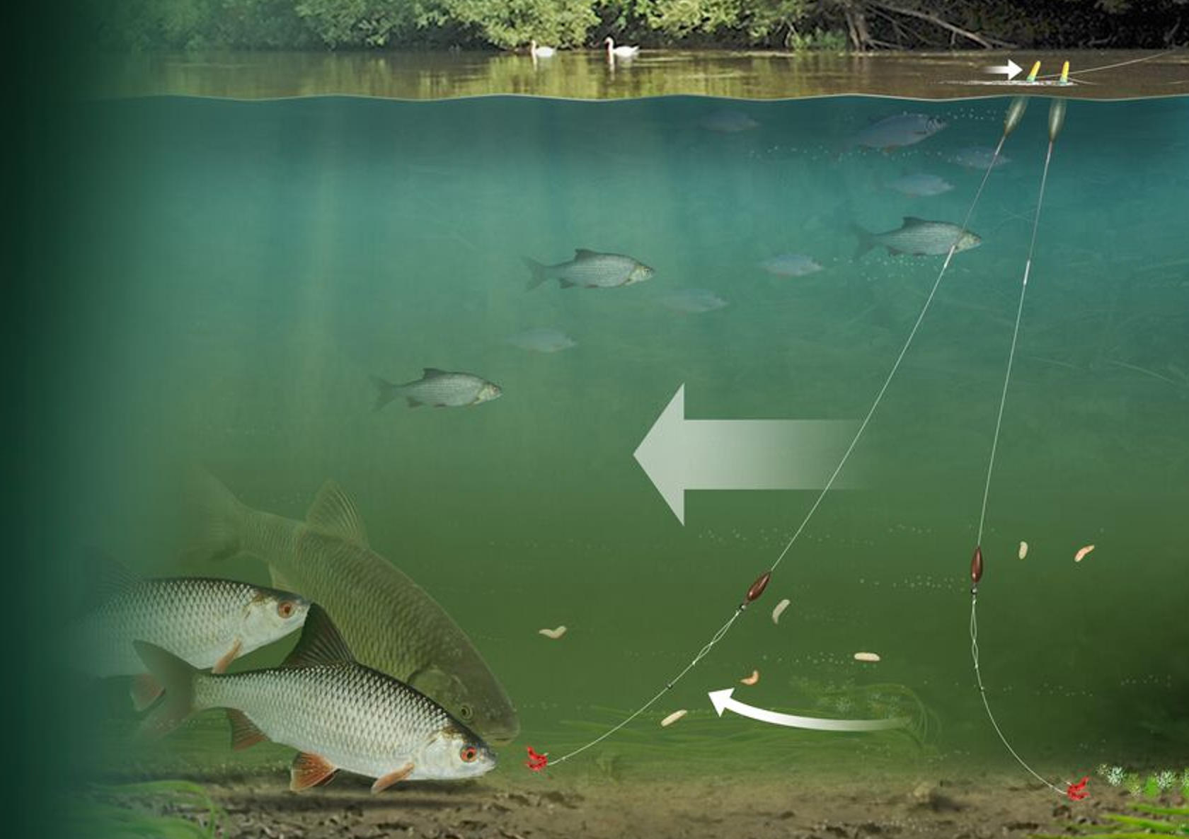 River Fishing Tips  Avon or Stick float for big roach and chub? - Paul  Garner — Angling Times