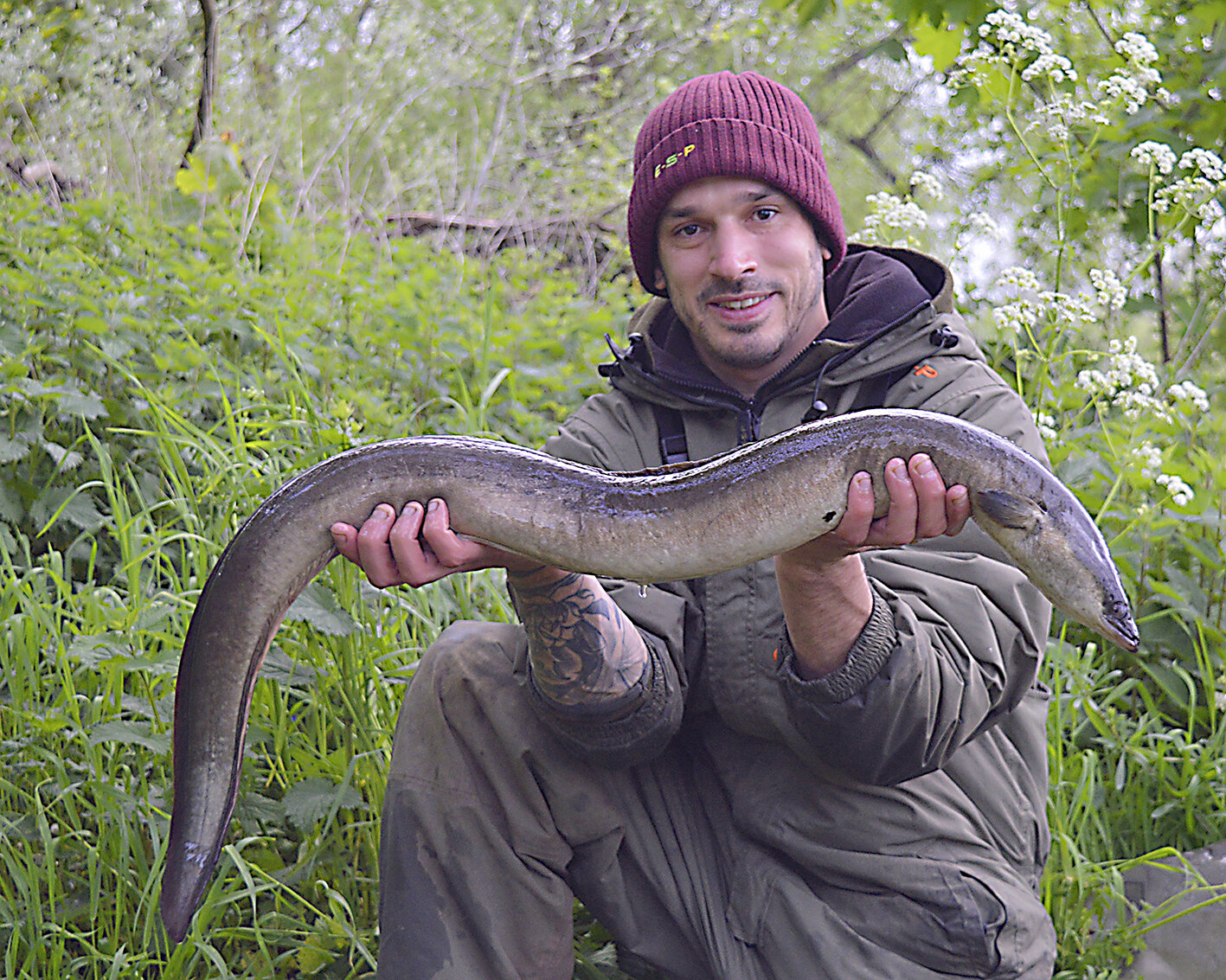 Specimen Fishing Tips  The best bait and rig for big eels - Daniel  Woolcott — Angling Times