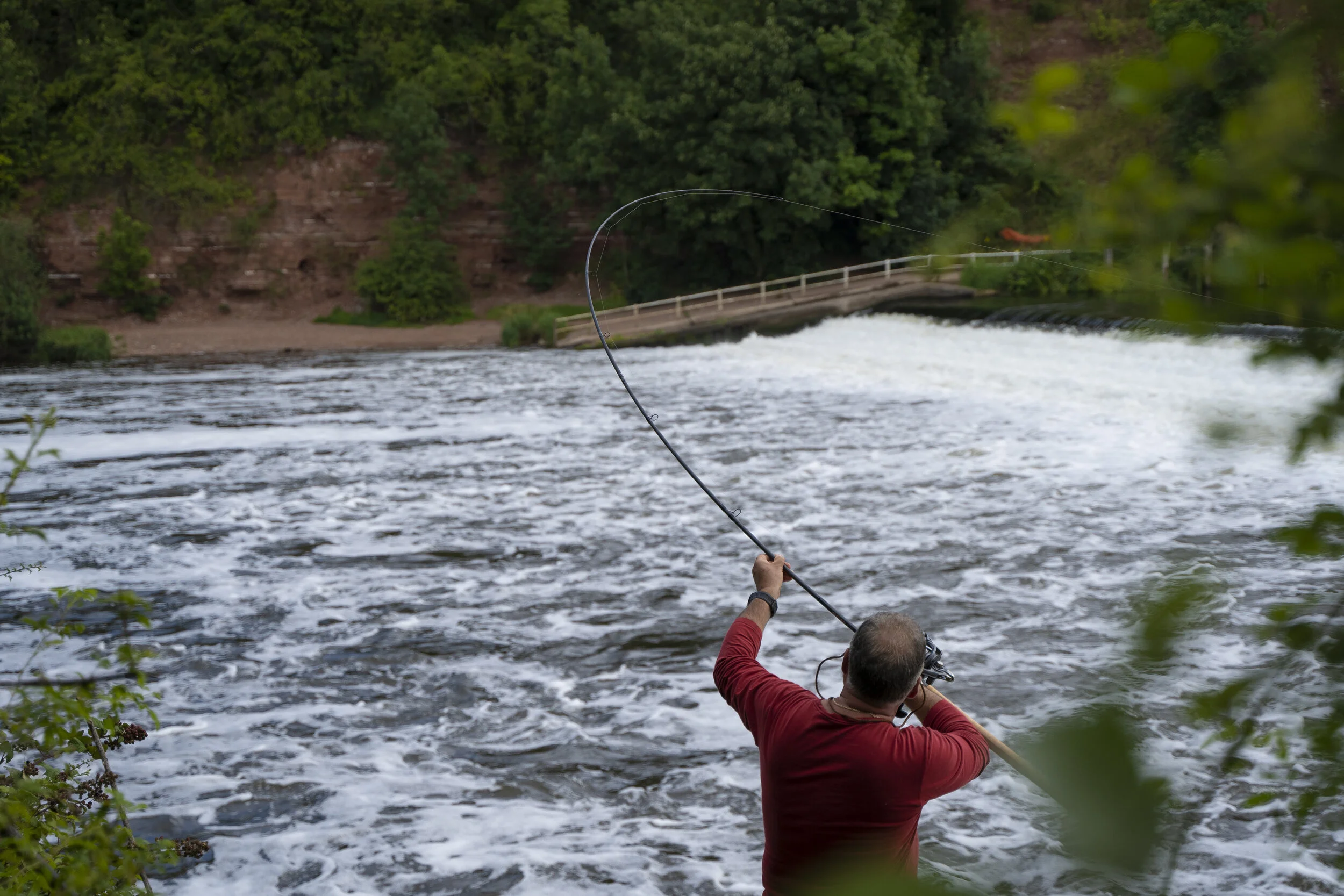 daiwa powermesh barbel rod