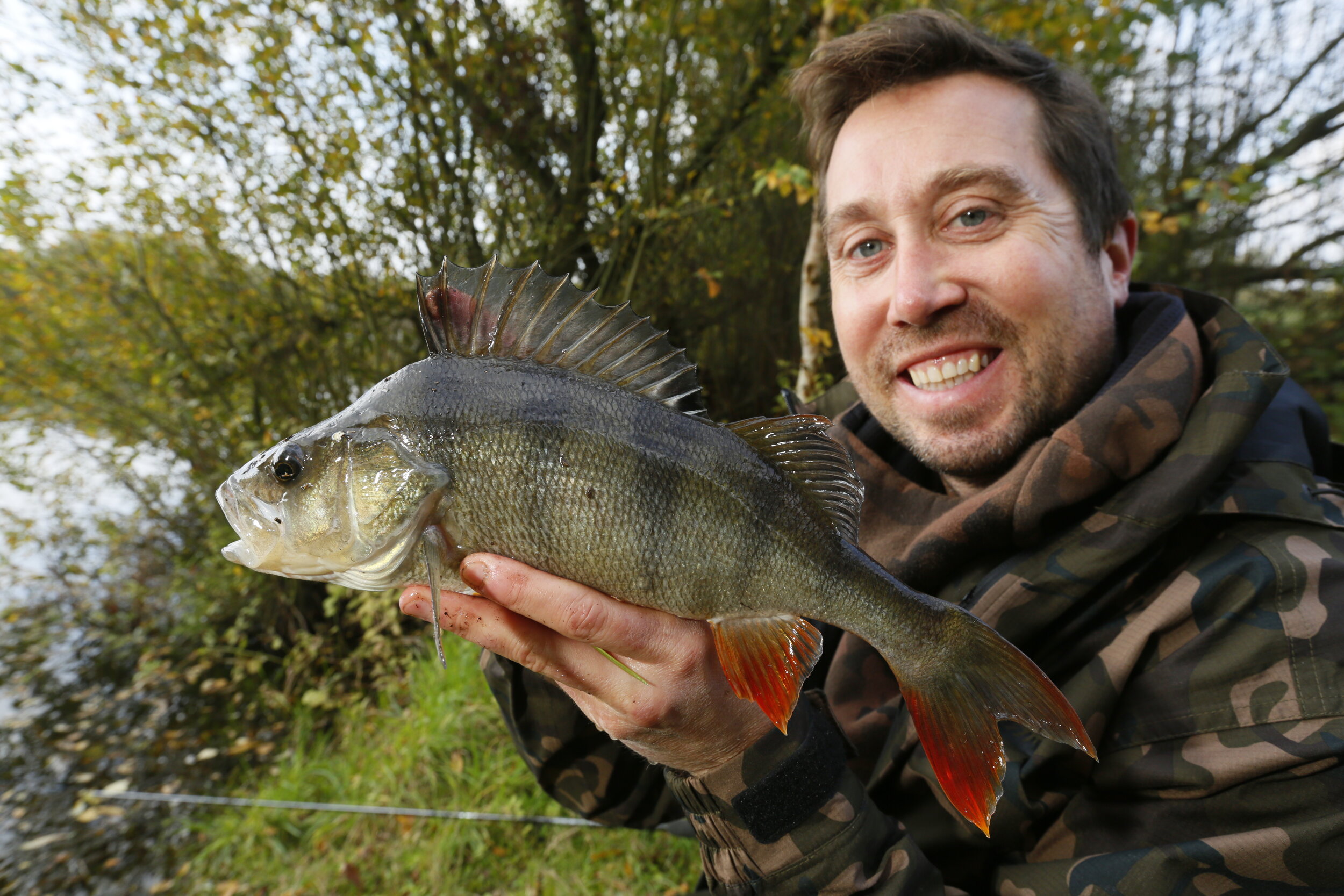 Specimen Fishing Tips  Live or dead baits for big perch? - Rich Wilby —  Angling Times