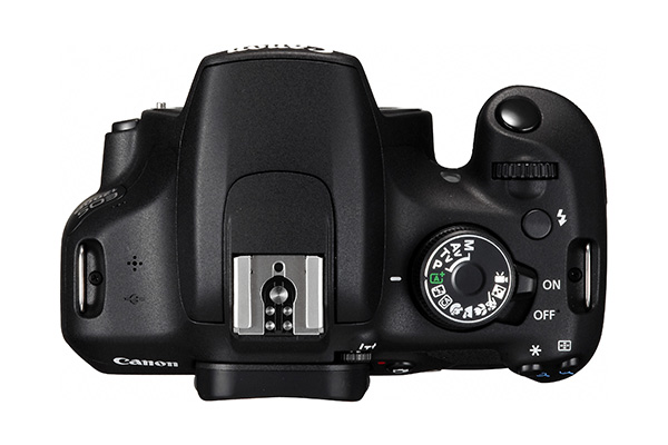 EOS 1200D (1).jpg