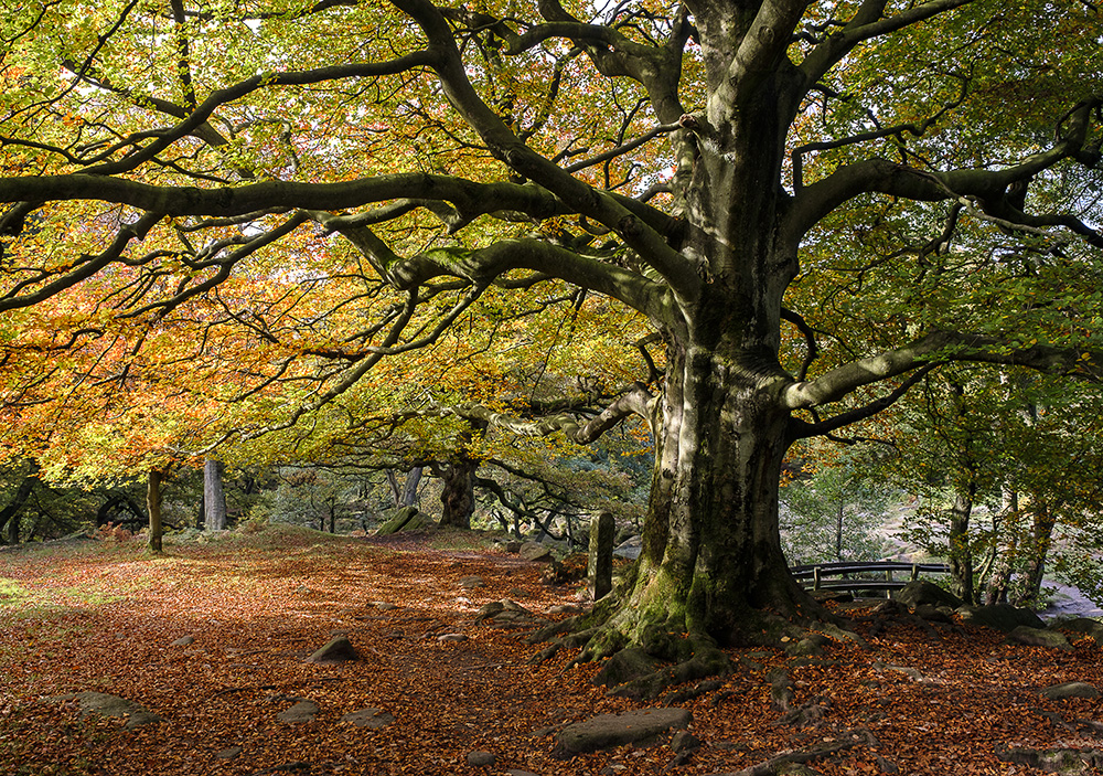 20161025_derbys_0097-Edit.jpg