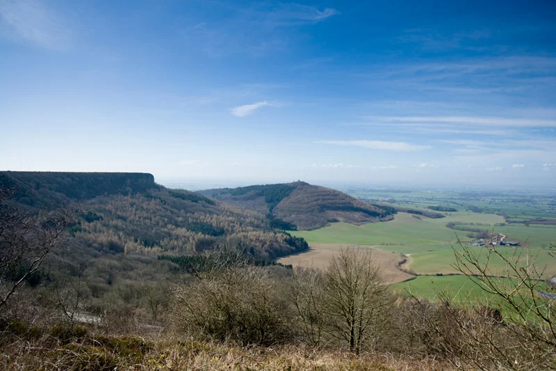 suttonbank.jpg