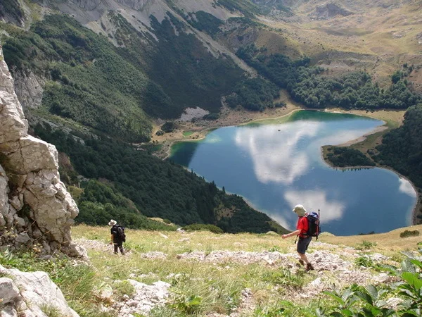 mont1.jpg