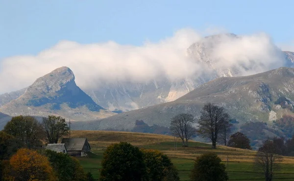 mont3.jpg