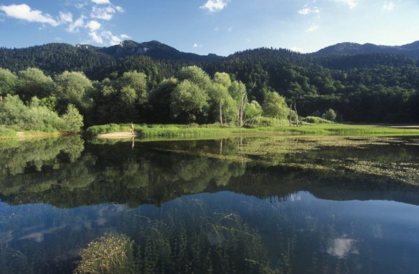 mont5.jpg