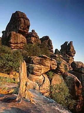 In%20Stolowe%20Mountain%20National%20Park.jpg